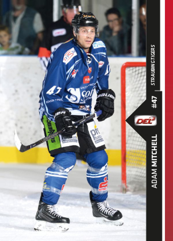 DEL 2016-17 CityPress Premium - No 190 - Adam Mitchell