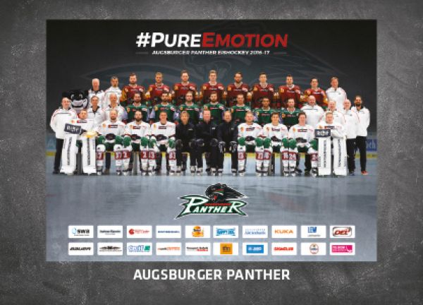 DEL 2016-17 CityPress Premium - No 271 - Team Augsburger Panther