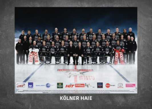 DEL 2016-17 CityPress Premium - No 277 - Team Kölner Haie