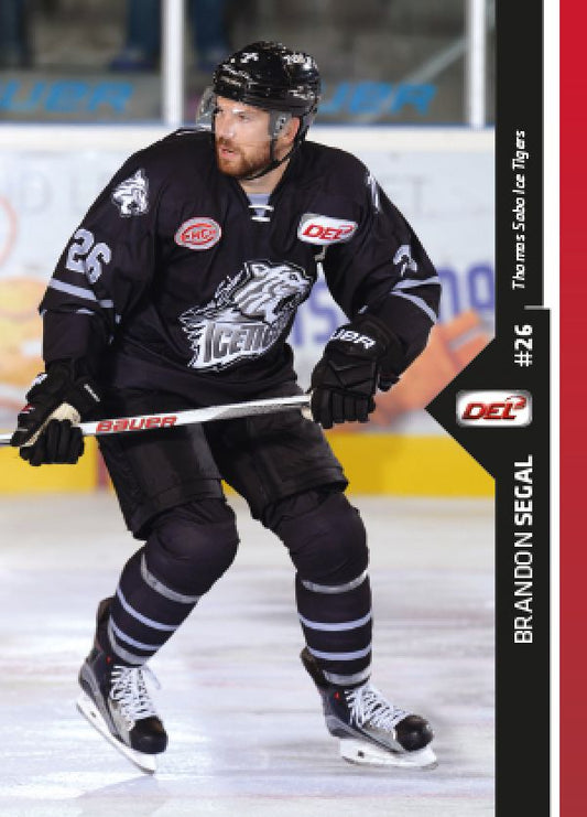 DEL 2016-17 CityPress Premium - No 452 - Brandon Segal