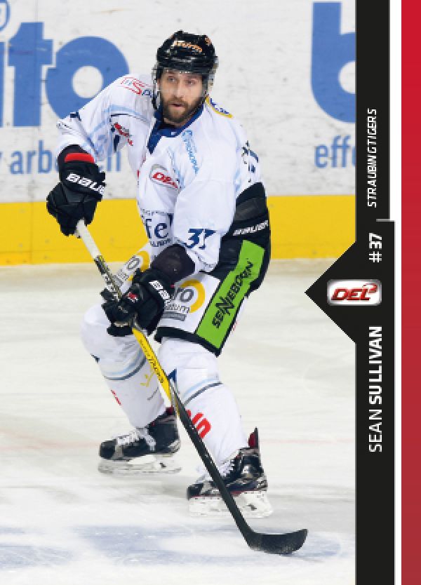 DEL 2016-17 CityPress Premium - No 477 - Sean Sullivan