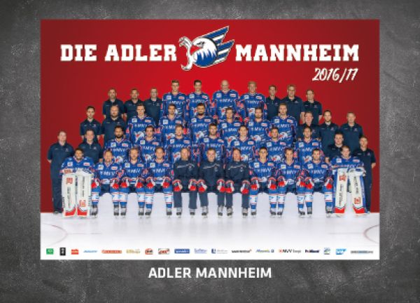 DEL 2016-17 CityPress Premium - No 552 - Team Adler Mannheim