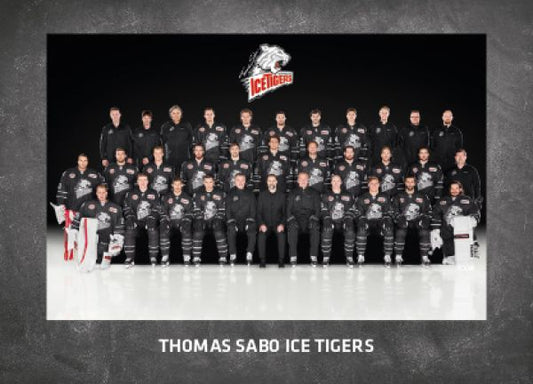 DEL 2016-17 CityPress Premium - No 554 - Team Thomas Sabo Ice Tigers