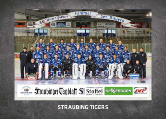 DEL 2016-17 CityPress Premium - No 556 - Team Straubing Tigers