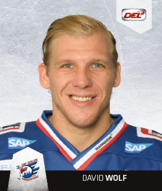 DEL 2016-17 CityPress Sticker - No 242 - David Wolf