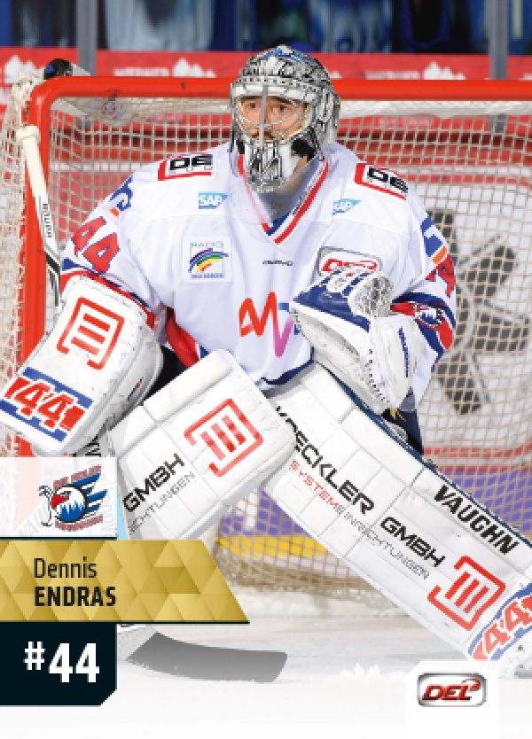 DEL 2017-18 CityPress - No 121 - Dennis Endras