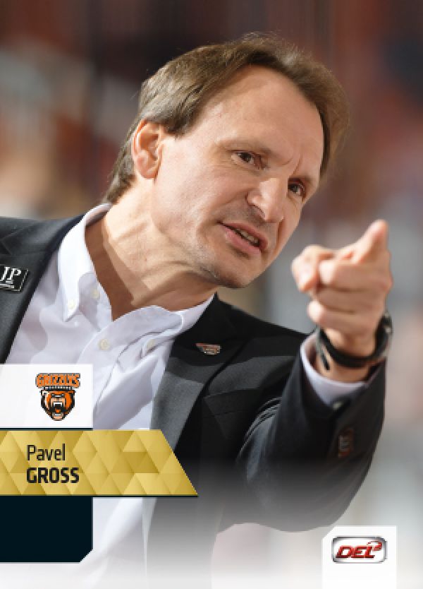 DEL 2017-18 CityPress - No 209 - Pavel Gross