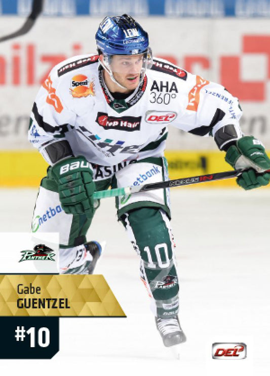 DEL 2017-18 CityPress - No 307 - Gabe Guentzel