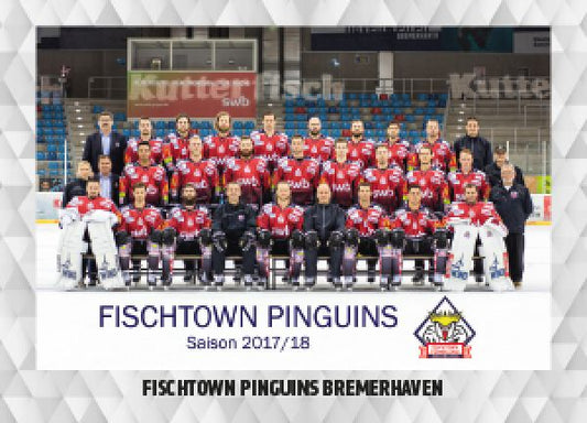 DEL 2017-18 CityPress - No 495 - Team Fischtown Pinguins