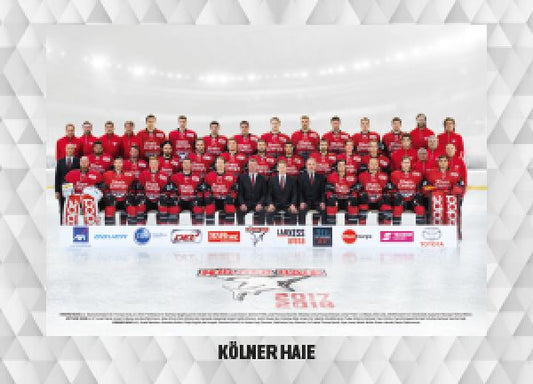 DEL 2017-18 CityPress - No 500 - Team Kölner Haie