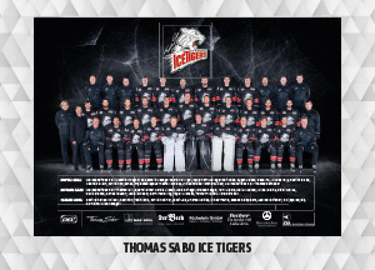 DEL 2017-18 CityPress - No 504 - Team Nürnberg Ice Tigers