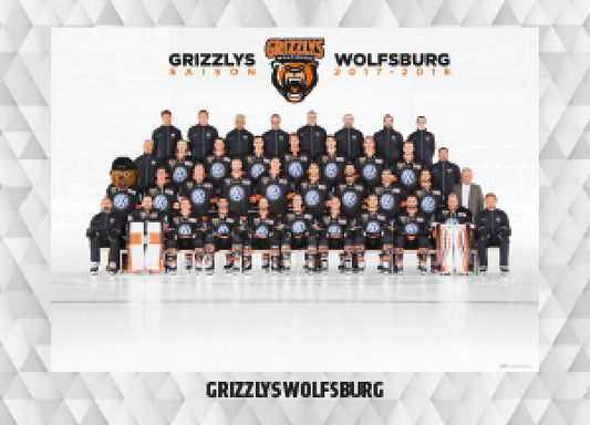 DEL 2017-18 CityPress - No 507 - Team Grizzlys Wolfsburg