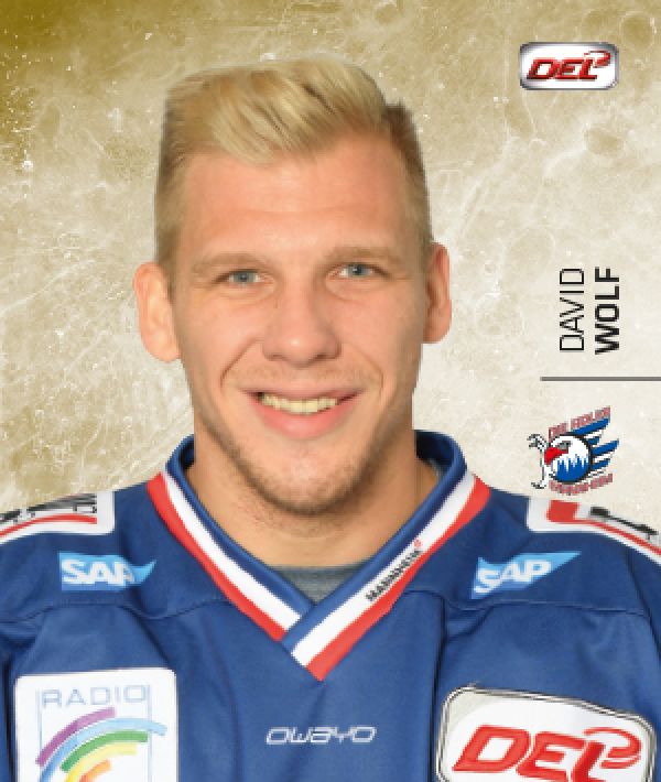 DEL 2017-18 CityPress Sticker - No 245 - David Wolf