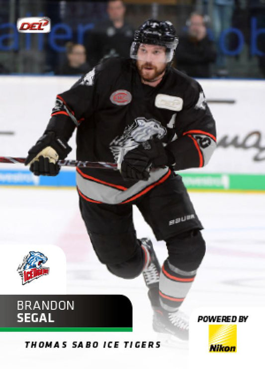 DEL 2018-19 CityPress - No 297 - Brandon Segal