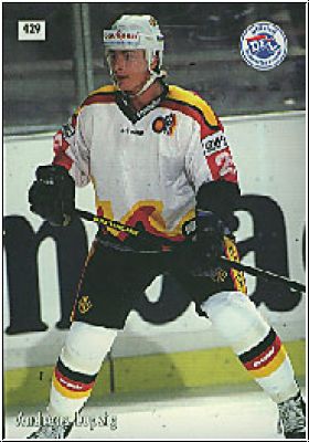 DEL 1995-96 No 429 - Josef Peppi Heiss / Andreas Lupzig