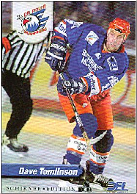 DEL 1998-99 No 227 - Dave Tomlinson - Goldkarte