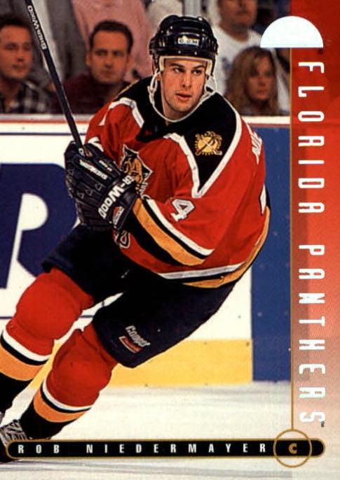 NHL 1995 / 96 Leaf - No 197 - Rob Niedermayer