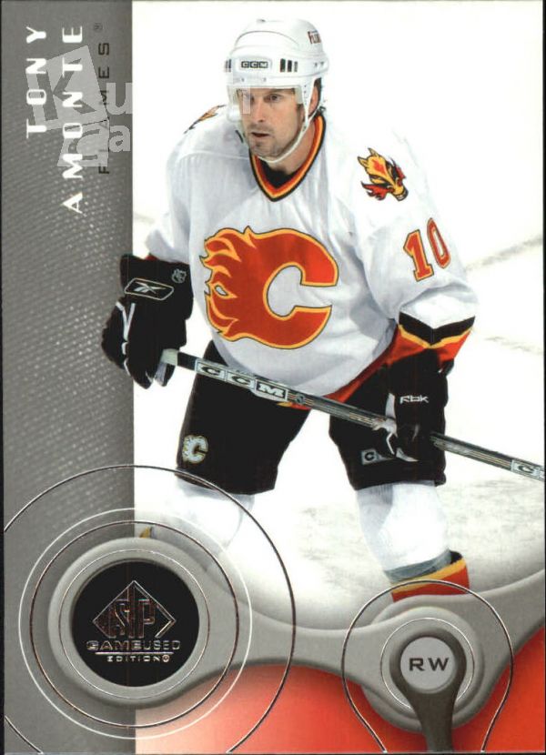 NHL 2005-06 SP Game Used - No 17 - Tony Amonte