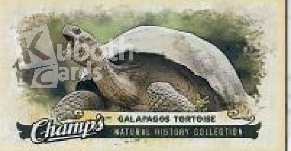 NHL 2008-09 Upper Deck Champ's Mini - No C366 - Galapagos Tortoise