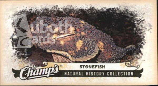 NHL 2008-09 Upper Deck Champ's Mini - No C407 - Stonefish