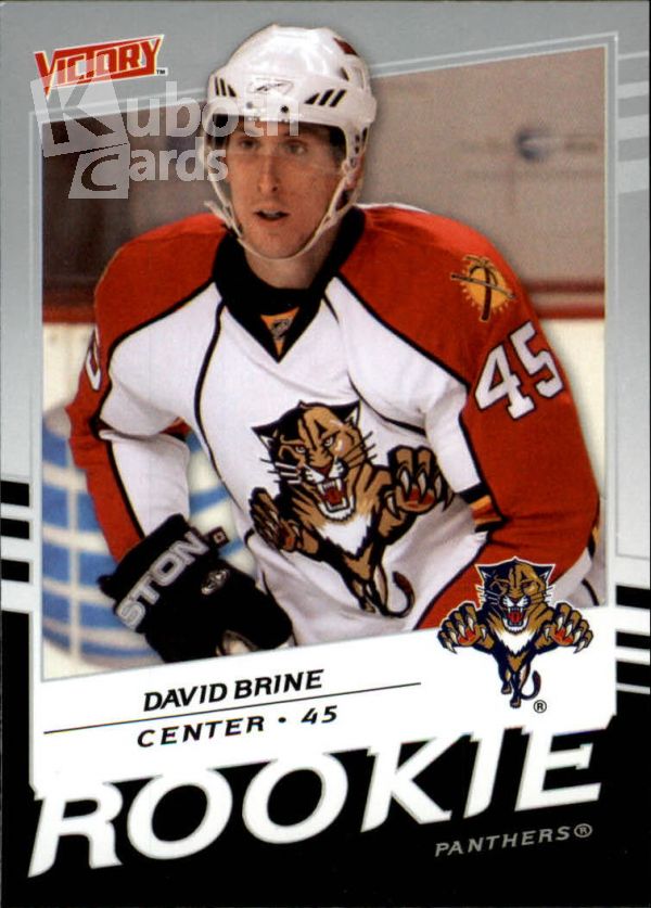 NHL 2008-09 Upper Deck Victory - No 231 - David Brine