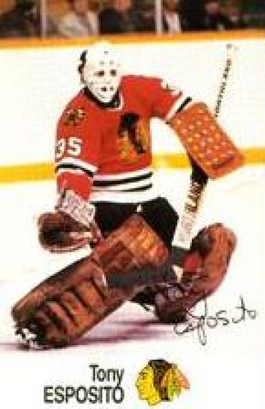 NHL 1988-89 Esso All-Stars - No 11 - Tony Esposito