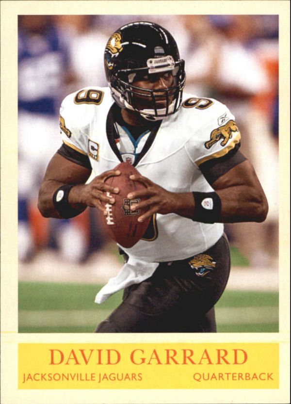 NFL 2009 Philadelphia - No 91 - David Garrard