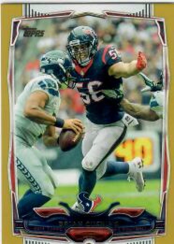 NFL 2014 Topps Gold - No 282 - Brian Cushing