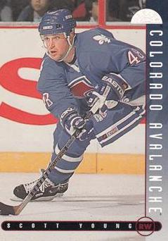 NHL 1995 / 96 Leaf - No 317 - Scott Young