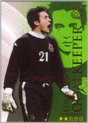 Soccer 2009 futera World Football - No 045 - Lewis Price