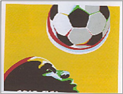 Football 2010 Panini World Cup South Africa - No 27 - Poster Part 1