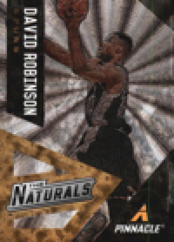 NBA 2013-14 Pinnacle The Naturals - No 11 - David Robinson