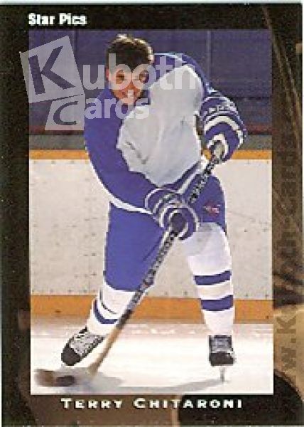 NHL 1991 Star Pics - No 15 - Terry Chitaroni