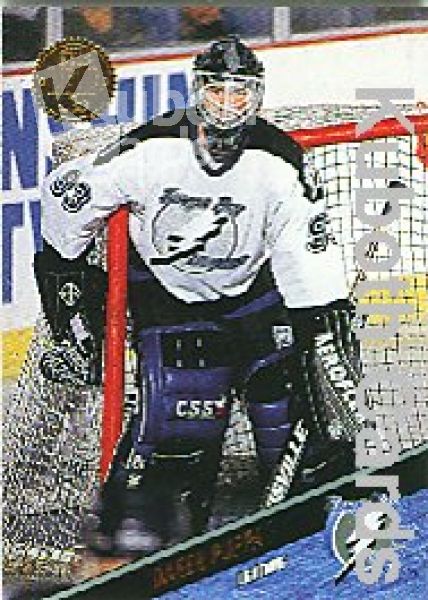 NHL 1993 / 94 Leaf - No 403 - Daren Puppa