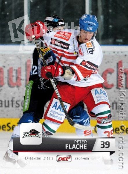 DEL 2011 / 12 CityPress - No 015 - Peter Flache