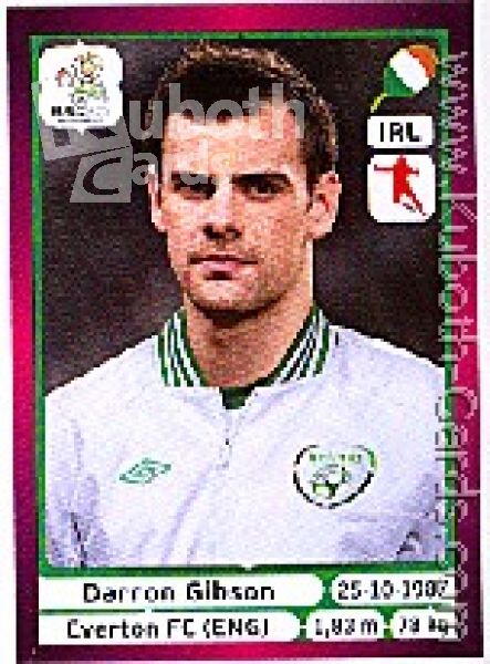 Soccer 2012 Panini European Championship - No 352 - Darron Gibson