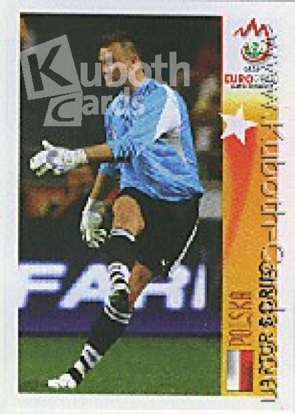 Football 2008 Panini European Championship - No 463 - Artur Boruc