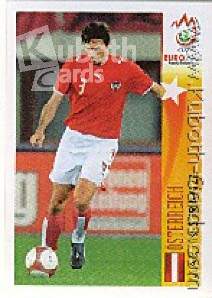 Football 2008 Panini European Championship - No 473 - Martin Stranzl