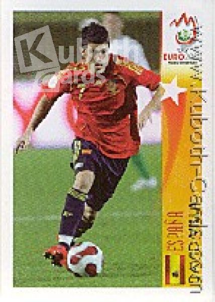 Fussball 2008 Panini EM - No 507 - David Villa