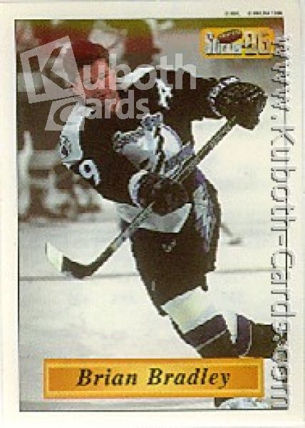 NHL 1995/96 Imperial Stickers - No 113 - Brian Bradley