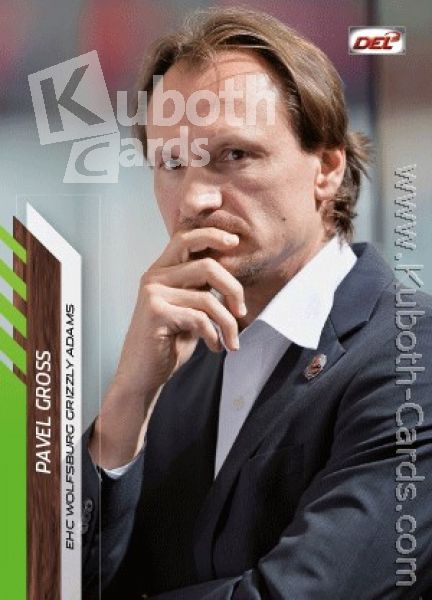 DEL 2013-14 CityPress - No 372 - Pavel Gross