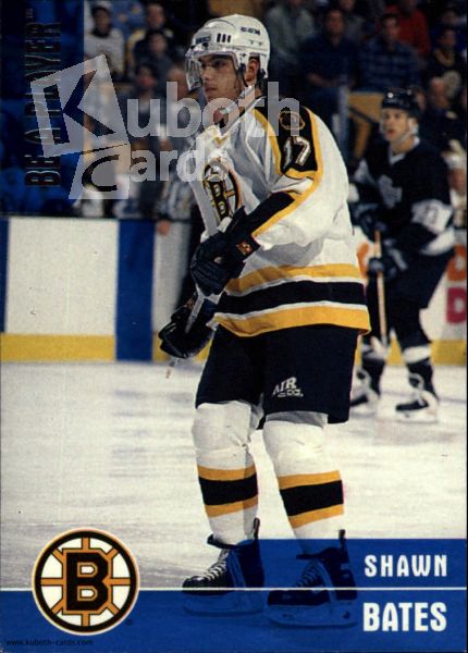 NHL 1999-00 BAP Memorabilia - No 246 - Shawn Bates