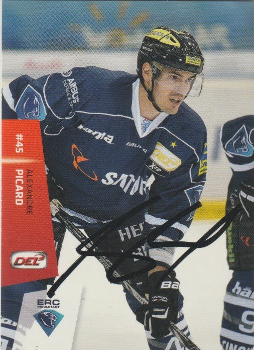 DEL 2014-15 CityPress - No 491 - Alexandre Picard
