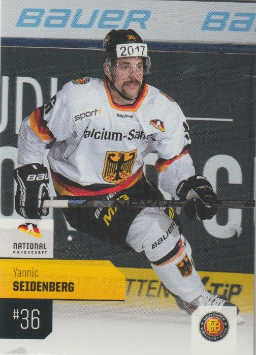 DEL 2014-15 CityPress - No 597 - Yannic Seidenberg