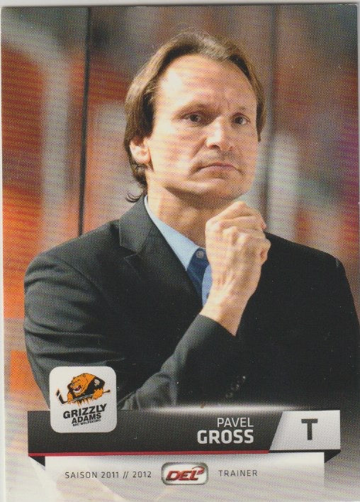 DEL 2011 / 12 CityPress - No 252 - Pavel Gross