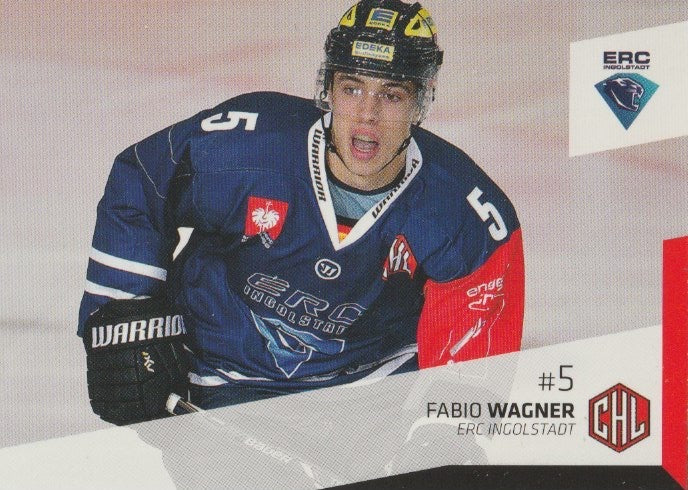 DEL 2014-15 CityPress - No 353 - Fabio Wagner