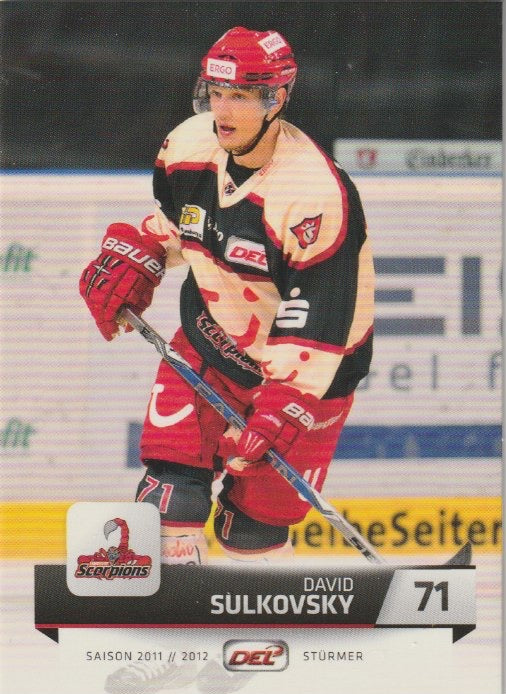 DEL 2011 / 12 CityPress - No 088 - David Sulkovsky