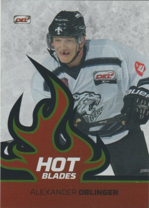 DEL 2014-15 CityPress Basic Set Hot Blades - No. HB01 - HB10 - complete set