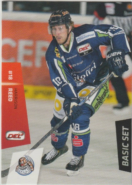 DEL 2014-15 CityPress Basic Set - No 243 - Harrison Reed